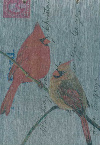 Cardinal (male-female)